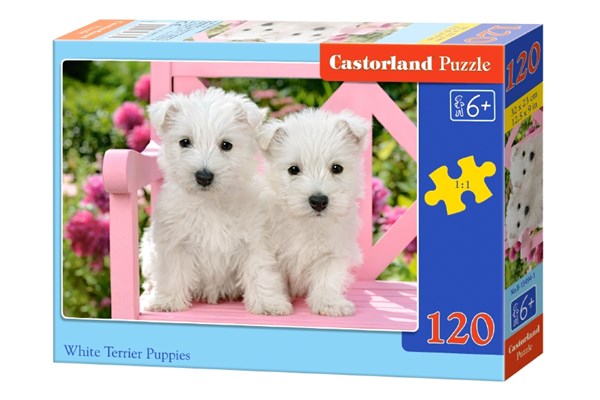 Castorland (B-13494) - "Niedliche Hundewelpen" - 120 Teile Puzzle