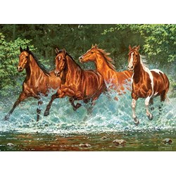 Castorland (B-030361) - "Cascade Run" - 300 Teile Puzzle