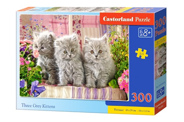 Castorland (B-030330) - "Drei graue Katzenkinder" - 300 Teile Puzzle