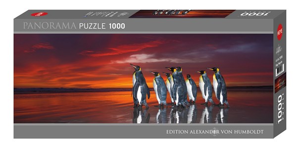Heye (29858) - Wim van den Heever: "Königspinguine" - 1000 Teile Puzzle