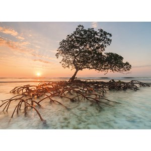 Heye (29856) - "Rote Mangroven" - 1000 Teile Puzzle