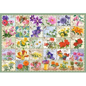Castorland (C-104338) - "Nostalgische Blumencollage" - 1000 Teile Puzzle