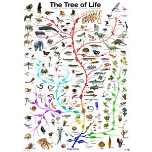 Eurographics (6000-0282) - "Die Evolution - Der Baum des Lebens" - 1000 Teile Puzzle