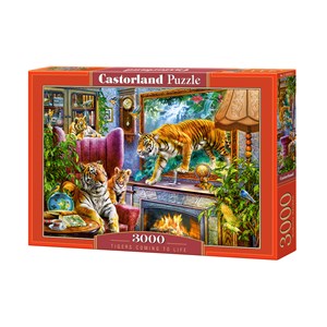 Castorland (C-300556) - "Aus dem Bild heraus" - 3000 Teile Puzzle