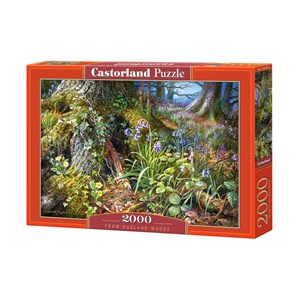 Castorland (C-200764) - "Idyllischer Wald" - 2000 Teile Puzzle