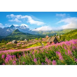 Castorland (C-104512) - "Hala Gasienicowa, Tatras, Poland" - 1000 Teile Puzzle