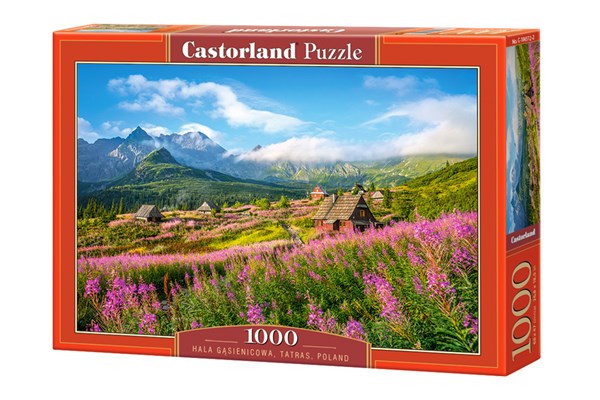 Castorland (C-104512) - "Hala Gasienicowa, Tatras, Poland" - 1000 Teile Puzzle