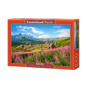 Castorland (C-104512) - "Hala Gasienicowa, Tatras, Poland" - 1000 Teile Puzzle