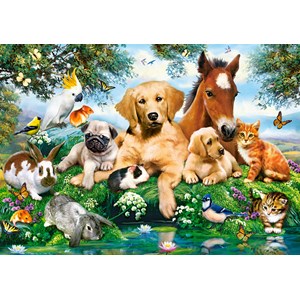 Castorland (B-53230) - "Freunde des Sommers" - 500 Teile Puzzle