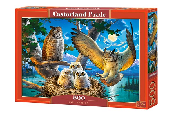 Castorland (B-53322) - "Eulenharmonie" - 500 Teile Puzzle