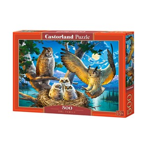 Castorland (B-53322) - "Eulenharmonie" - 500 Teile Puzzle