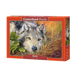 Castorland (B-53285) - "Eindringlicher Blick" - 500 Teile Puzzle