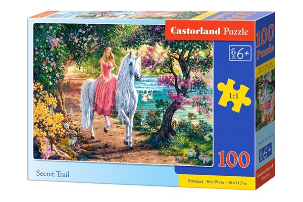 Castorland (B-111114) - "Secret Trail" - 100 Teile Puzzle