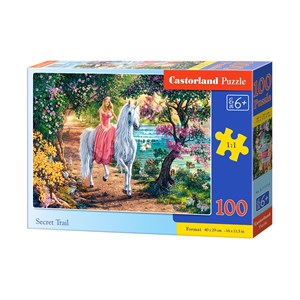 Castorland (B-111114) - "Secret Trail" - 100 Teile Puzzle