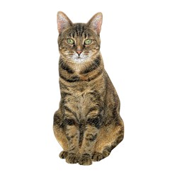 Chronicle Books / Galison (9780735360136) - "Queen of the Stacks" - 650 Teile Puzzle