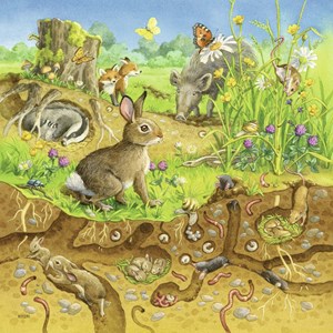 Ravensburger (08050) - "Tiere in ihren Lebensräumen" - 49 Teile Puzzle