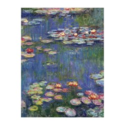 Chronicle Books / Galison (9780735358133) - Claude Monet: "Monet" - 500 Teile Puzzle