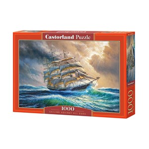 Castorland (C-104529) - "Unruhige See" - 1000 Teile Puzzle