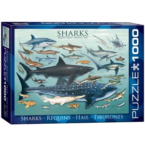 Eurographics (6000-0079) - "Haie" - 1000 Teile Puzzle