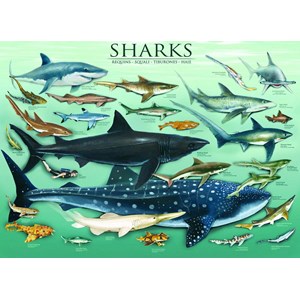 Eurographics (6000-0079) - "Haie" - 1000 Teile Puzzle