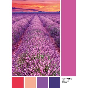 Clementoni (39493) - "Purple" - 1000 Teile Puzzle