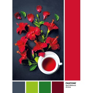 Clementoni (39494) - "Red Hibiscus Aroma" - 1000 Teile Puzzle