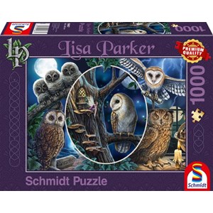 Schmidt Spiele (59667) - Lisa Parker: "Geheimnisvolle Eulen" - 1000 Teile Puzzle