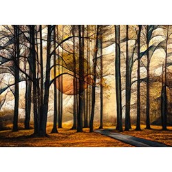 Schmidt Spiele (58396) - "Magischer Wald" - 1000 Teile Puzzle