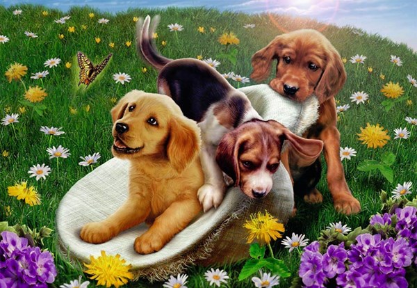 Ravensburger (05428) - Andrew Farley: "Frolicking Puppies" - 24 Teile Puzzle