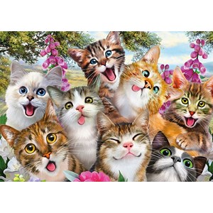 Schmidt Spiele (58391) - "Katzen-Selfie" - 500 Teile Puzzle