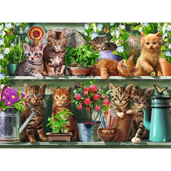 Ravensburger (14824) - "Katzen im Regal" - 500 Teile Puzzle