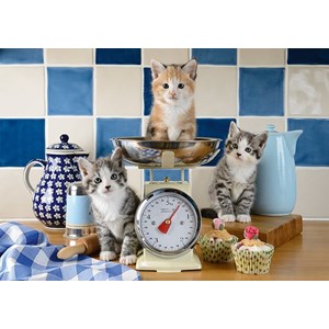 Schmidt Spiele (58370) - "Katzen in der Küche" - 500 Teile Puzzle