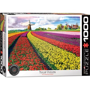 Eurographics (6000-5326) - "Tulpenfelder" - 1000 Teile Puzzle