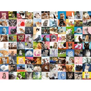 Ravensburger (16235) - "99 Katzen" - 1500 Teile Puzzle