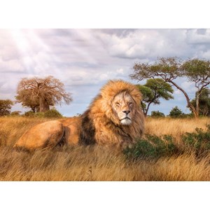 Clementoni (39479) - "Der König" - 1000 Teile Puzzle