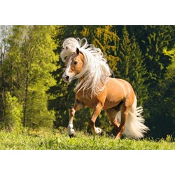 Ravensburger (15009) - "Pferdeglück" - 1000 Teile Puzzle