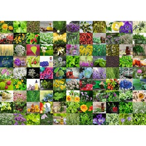 Ravensburger (15991) - "99 Kräuter und Gewürze" - 1000 Teile Puzzle