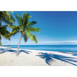 Ravensburger (15989) - "Im Zauber des Mondlichts" - 1000 Teile Puzzle