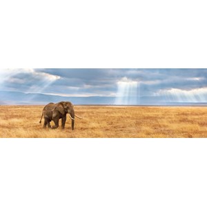 Clementoni (39484) - "Lost" - 1000 Teile Puzzle