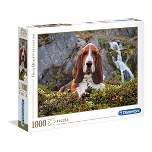 Clementoni (39511) - "Basset Hound" - 1000 Teile Puzzle