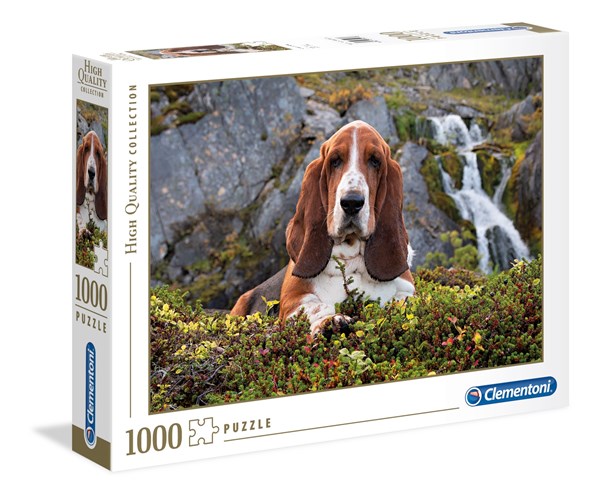 Clementoni (39511) - "Basset Hound" - 1000 Teile Puzzle