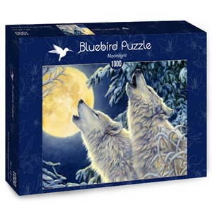 Bluebird Puzzle (70071) - "Moonlight" - 1000 Teile Puzzle