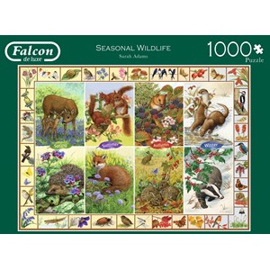 Falcon (11200) - Sarah Adams: "Waldtiere" - 1000 Teile Puzzle