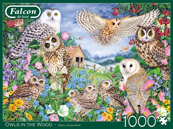 Falcon (11286) - Claire Comerford: "Eulen im Wald" - 1000 Teile Puzzle