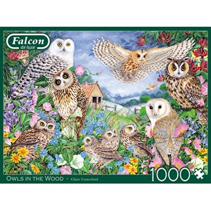 Falcon (11286) - Claire Comerford: "Eulen im Wald" - 1000 Teile Puzzle