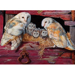 Cobble Hill (80052) - "Barn Owls" - 1000 Teile Puzzle