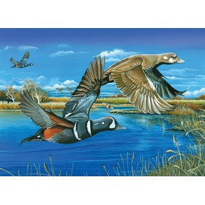 Cobble Hill (80165) - "Vögel über dem Teich" - 1000 Teile Puzzle