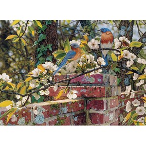 Cobble Hill (80137) - "Singende Vögel auf der Mauer" - 1000 Teile Puzzle