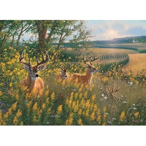 Cobble Hill (80092) - "Rehe auf dem Feld" - 1000 Teile Puzzle
