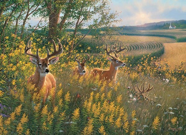 Cobble Hill (80092) - "Rehe auf dem Feld" - 1000 Teile Puzzle